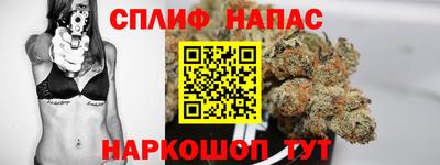 эйфоретик Тара