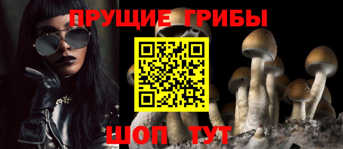Псилоцибиновые грибы MAGIC MUSHROOMS  Псилоцибиновые грибы мицелий  купить  сайты  Брянск  Вход с VPN 